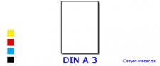 DIN A 3 (29,7 cm x 42 cm)