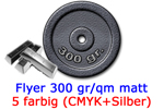 Flyer CMYK+silber 300 